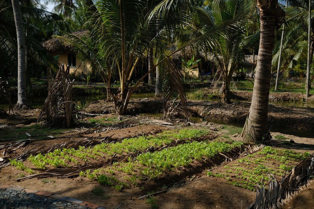 Mekong Home Ben Tre Екстериор снимка